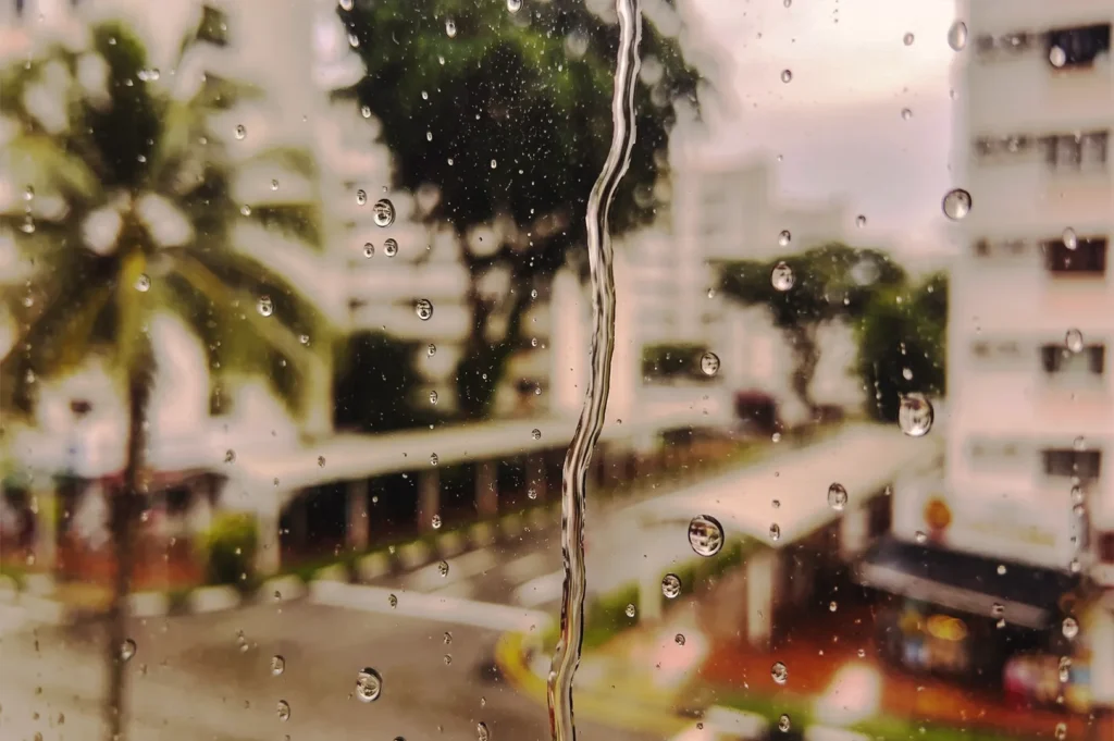 Raindrops dripping down a windowpane overlooking palm trees and residential buildings.